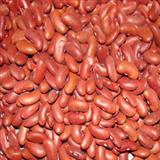 Rajma 